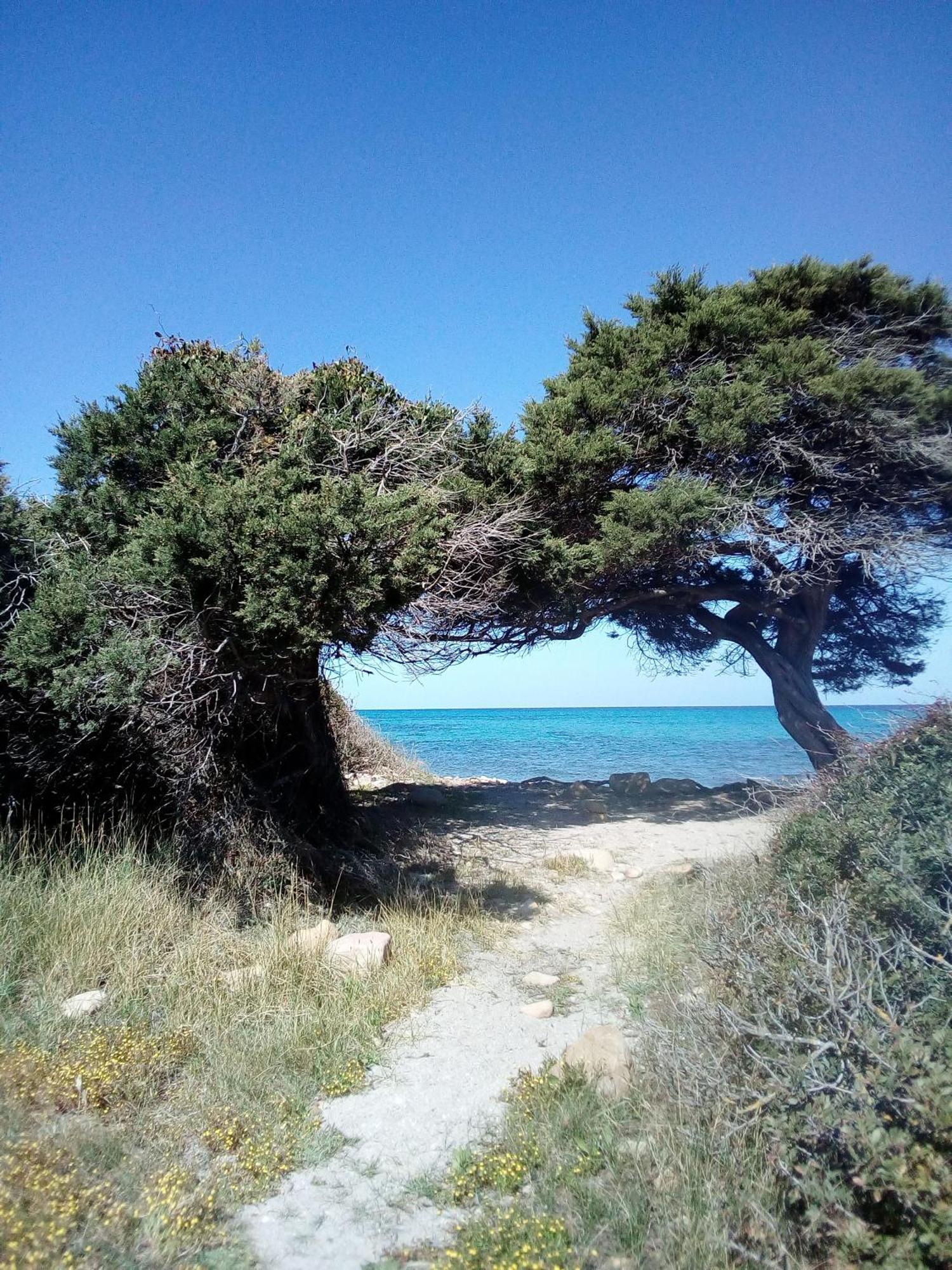 Corona'S Apartment- Fronte Spiaggia لا كاليتا المظهر الخارجي الصورة